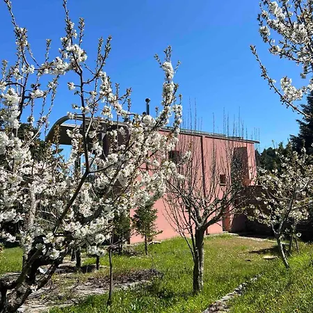 Сasa de vacaciones Forest House