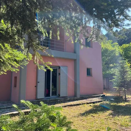 Forest House Nyaraló *