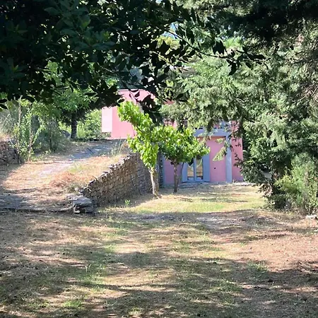 Nyaraló Forest House