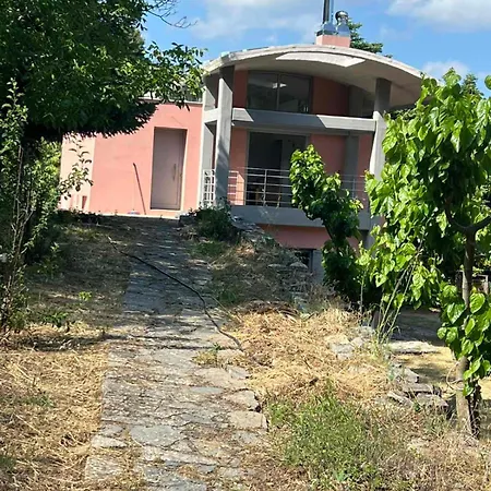 Nyaraló Forest House