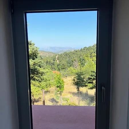 Nyaraló Forest House